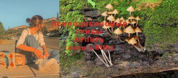 дмт Абинск