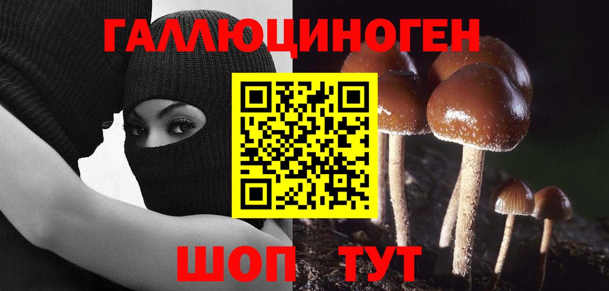 Дербент  Псилоцибиновые грибы Cubensis  Галлюциногенные грибы MAGIC MUSHROOMS  Вход с VPN 